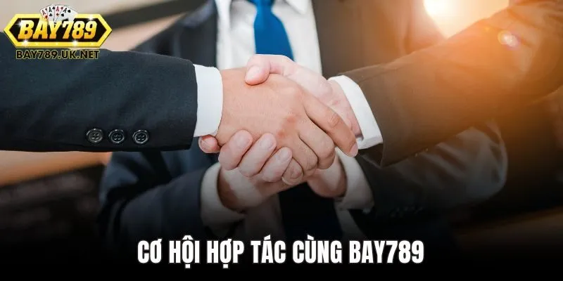 Opportunities to collaborate with BAY789